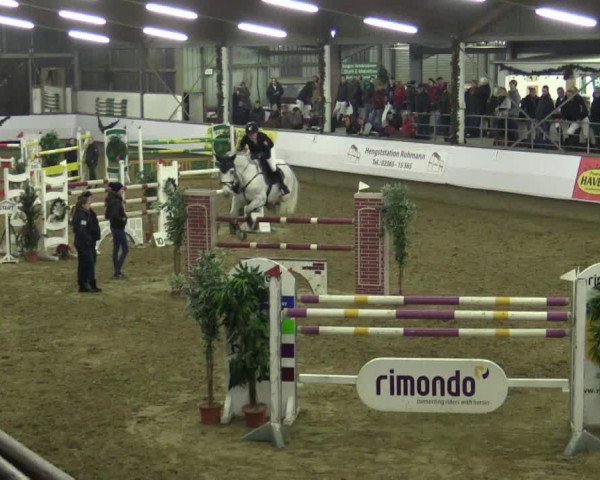 Reitturnier Alt Marl 2015