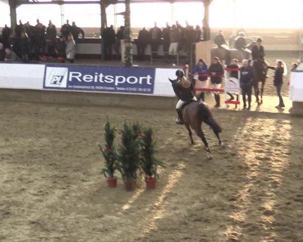 Reitturnier Alt Marl 2015
