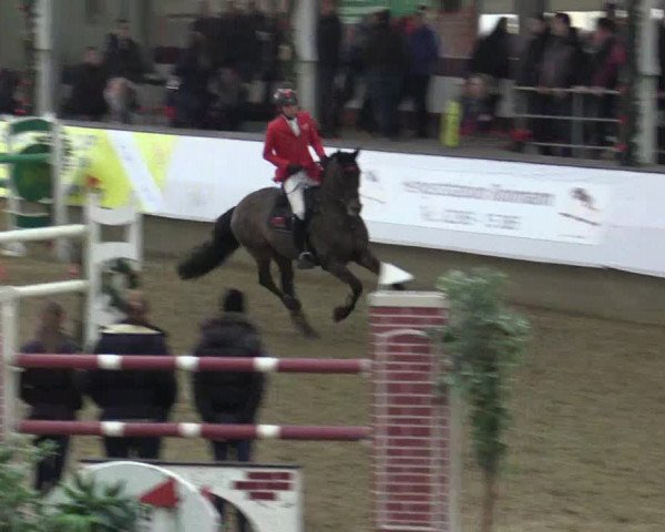 Reitturnier Alt Marl 2015