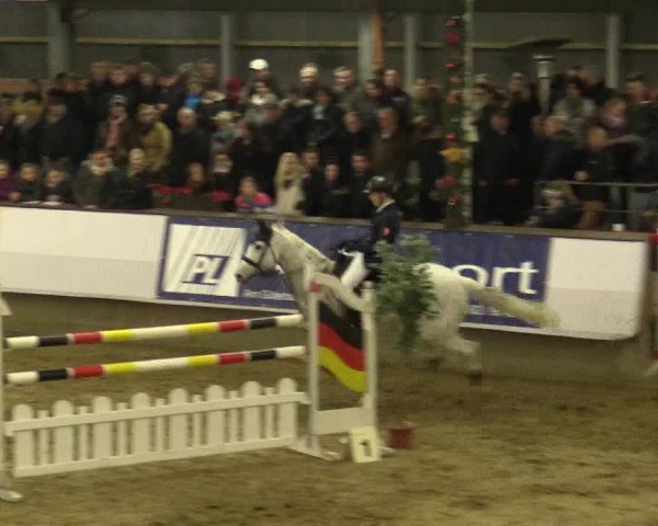 Reitturnier Alt Marl 2015