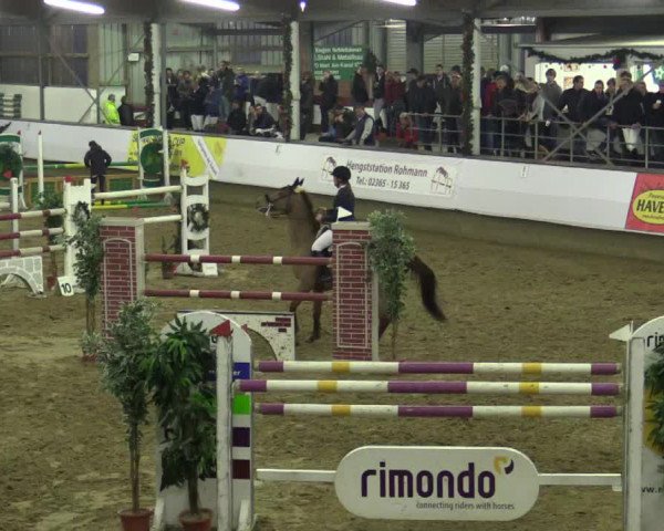 Reitturnier Alt Marl 2015