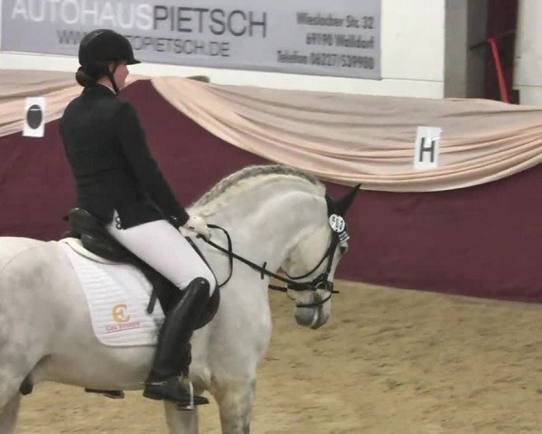 Reitturnier Eppelheim 2016