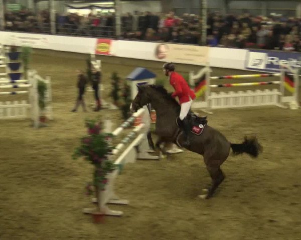 Reitturnier Alt Marl 2015