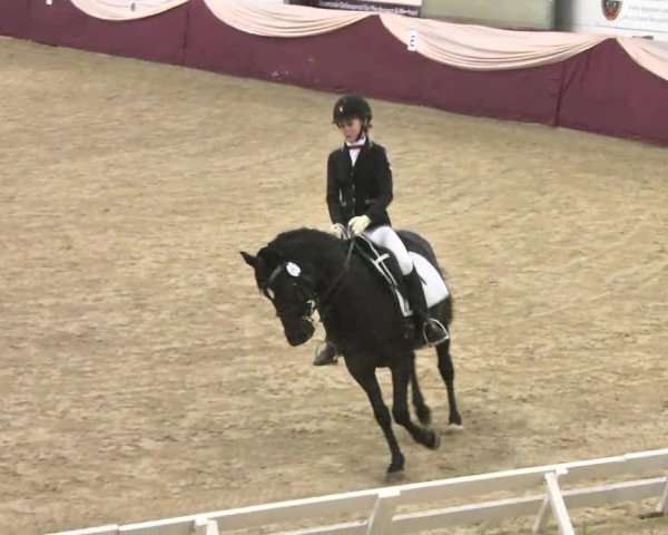 Reitturnier Eppelheim 2016