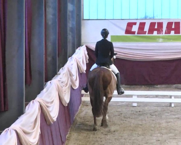 Reitturnier Eppelheim 2016