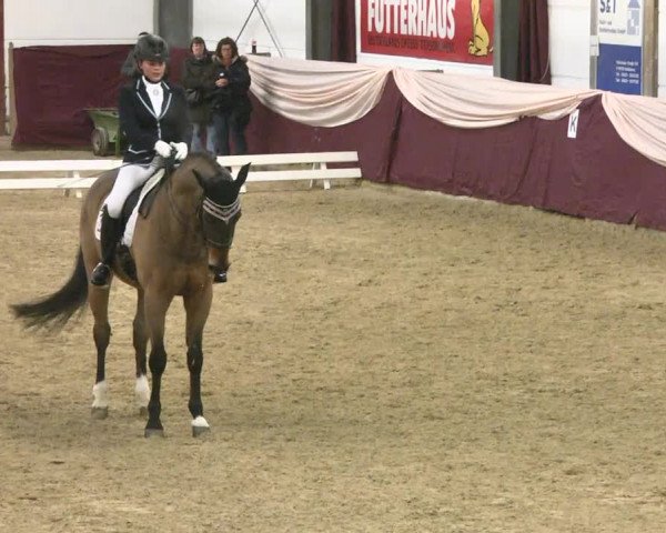 Reitturnier Eppelheim 2016