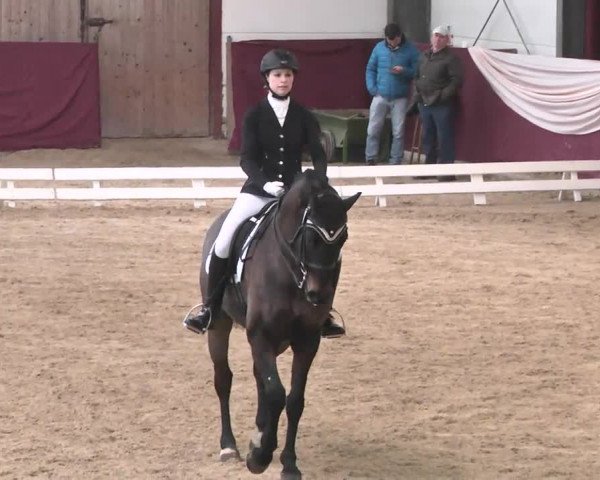 Reitturnier Eppelheim 2016