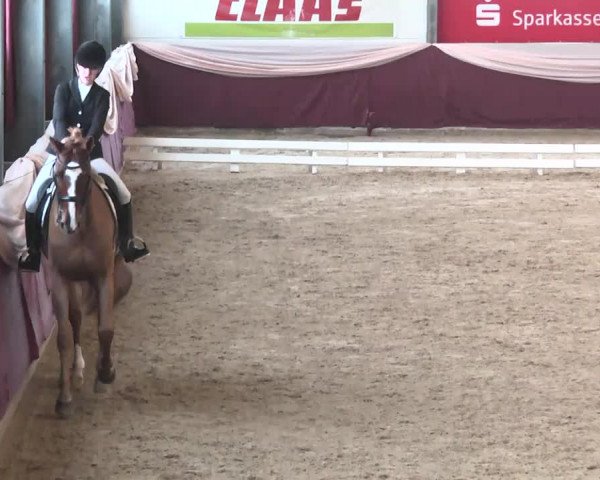 Reitturnier Eppelheim 2016
