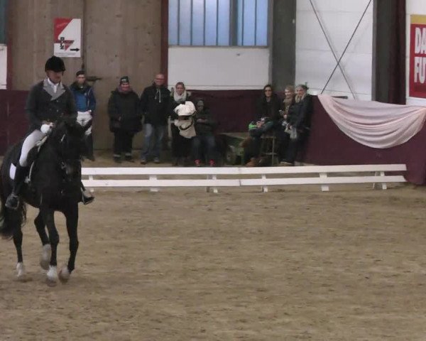 Reitturnier Eppelheim 2016