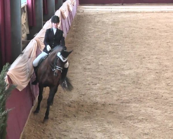 Reitturnier Eppelheim 2016
