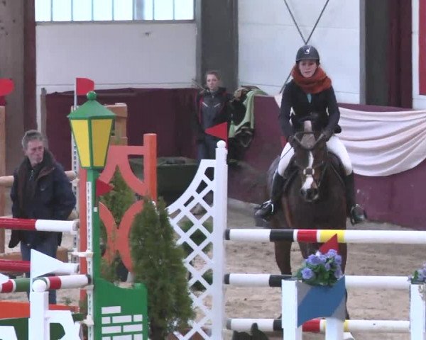 Reitturnier Eppelheim 2016