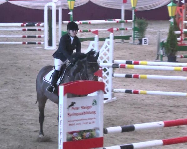 Reitturnier Eppelheim 2016