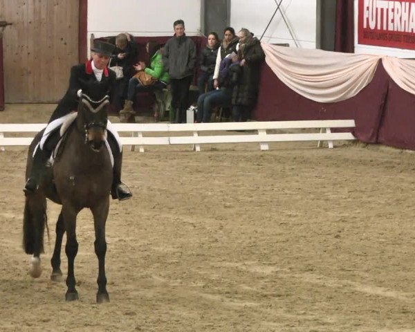 Reitturnier Eppelheim 2016