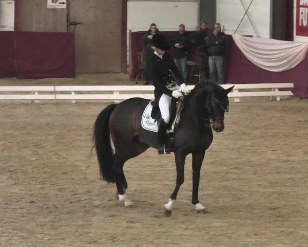 Reitturnier Eppelheim 2016