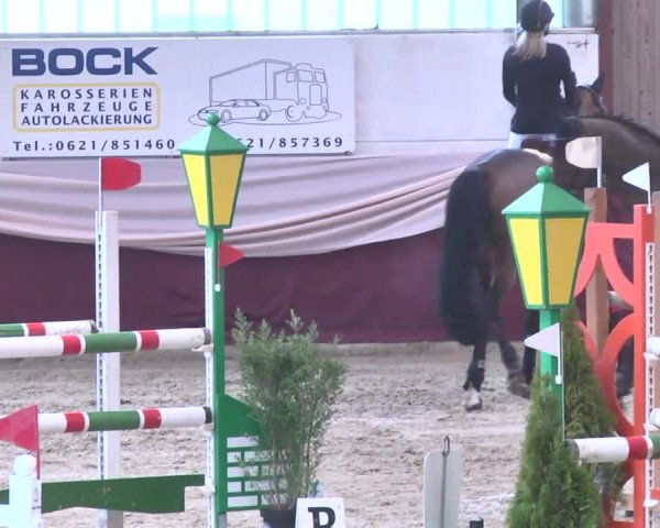 Reitturnier Eppelheim 2016