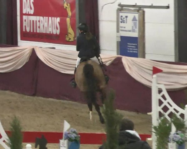 Reitturnier Eppelheim 2016