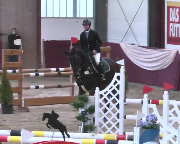Reitturnier Eppelheim 2016