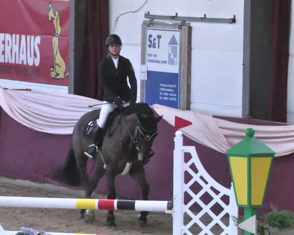 Reitturnier Eppelheim 2016