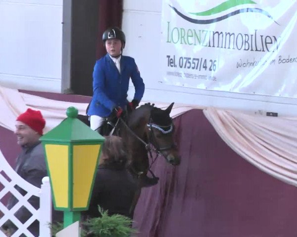 Reitturnier Eppelheim 2016