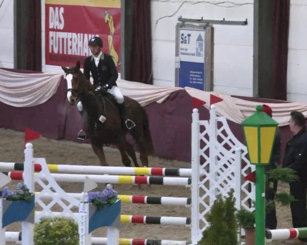 Reitturnier Eppelheim 2016