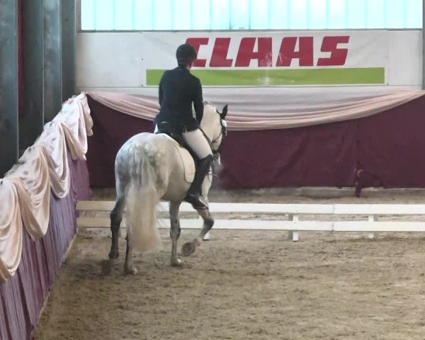 Reitturnier Eppelheim 2016