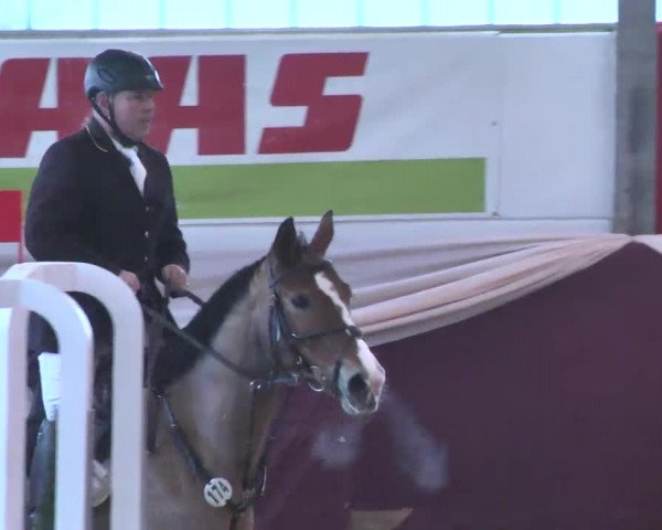 Reitturnier Eppelheim 2016