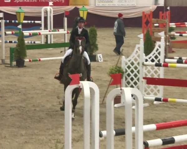 Reitturnier Eppelheim 2016