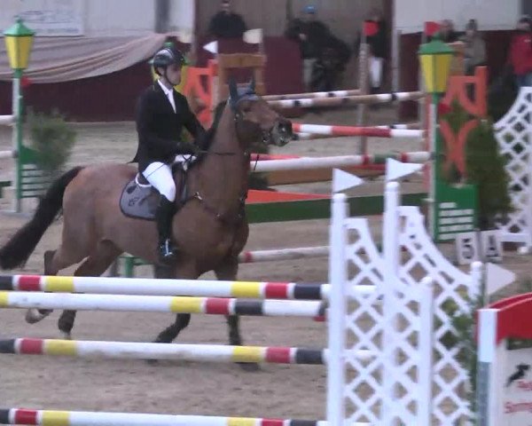 Reitturnier Eppelheim 2016