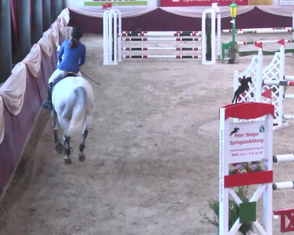 Reitturnier Eppelheim 2016