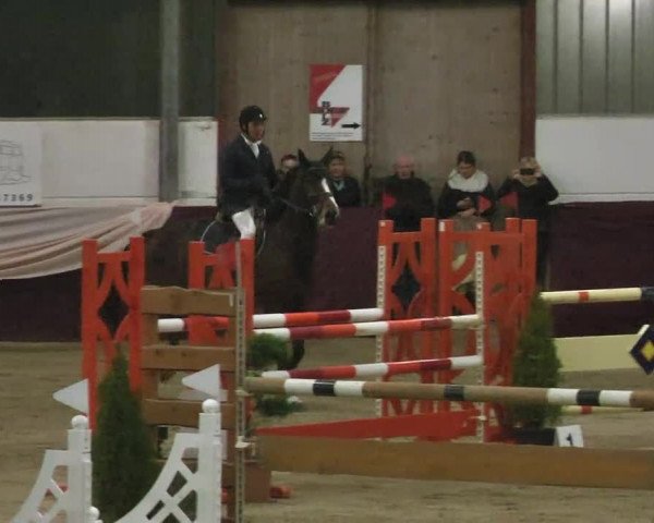 Reitturnier Eppelheim 2016