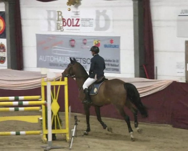 Reitturnier Eppelheim 2016