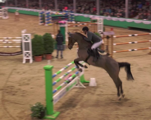 CSN Gahlen 2016