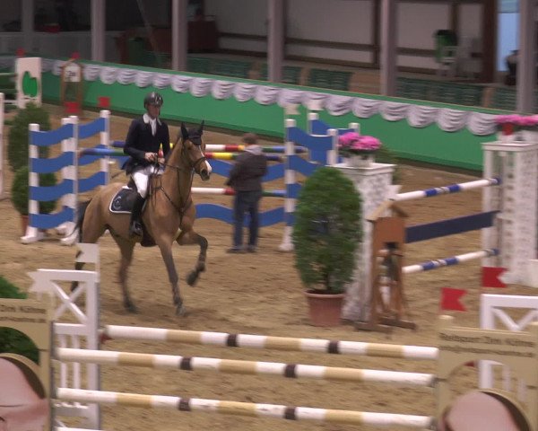 CSN Gahlen 2016