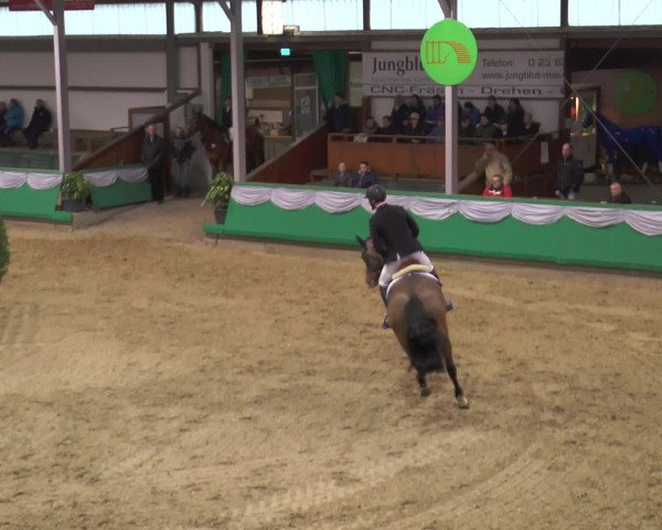 CSN Gahlen 2016