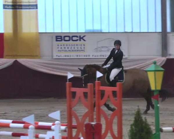 Reitturnier Eppelheim 2016