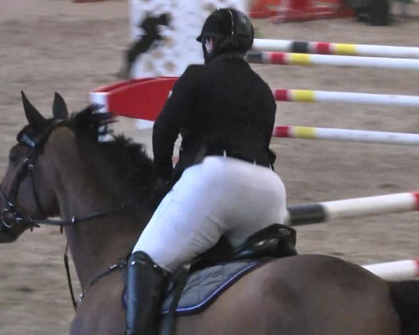 Reitturnier Eppelheim 2016