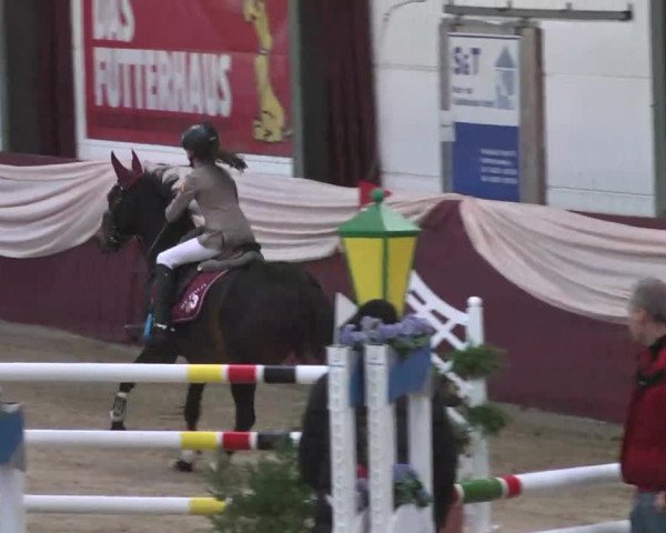 Reitturnier Eppelheim 2016