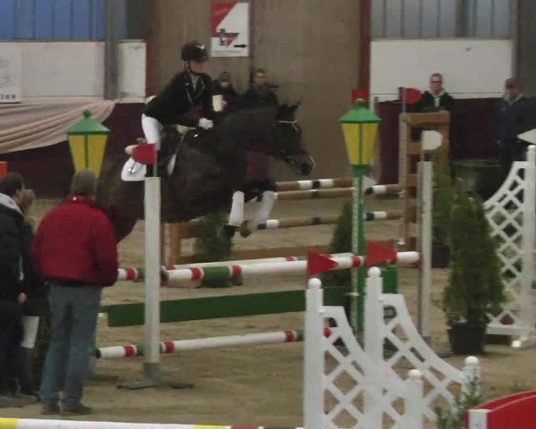 Reitturnier Eppelheim 2016
