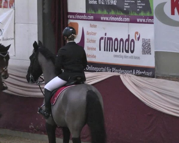 Reitturnier Eppelheim 2016