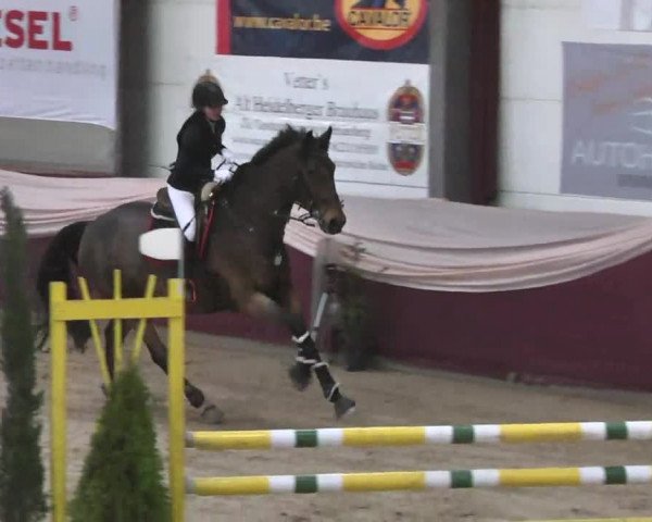 Reitturnier Eppelheim 2016