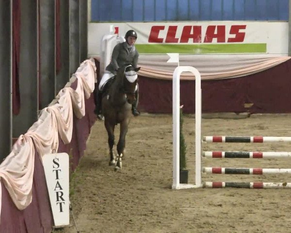 Reitturnier Eppelheim 2016