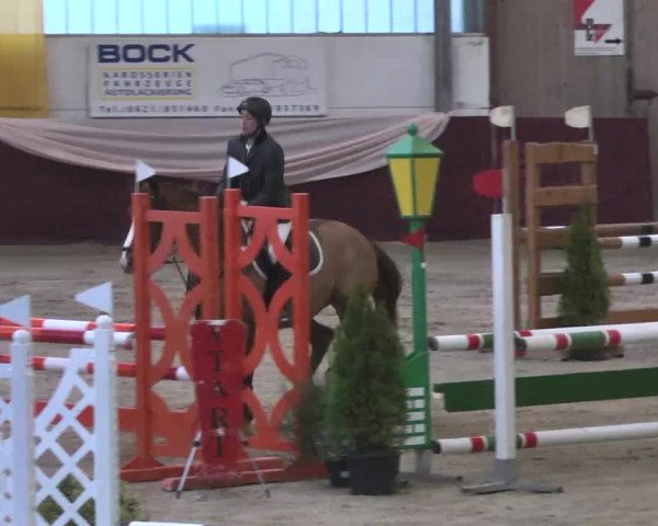 Reitturnier Eppelheim 2016