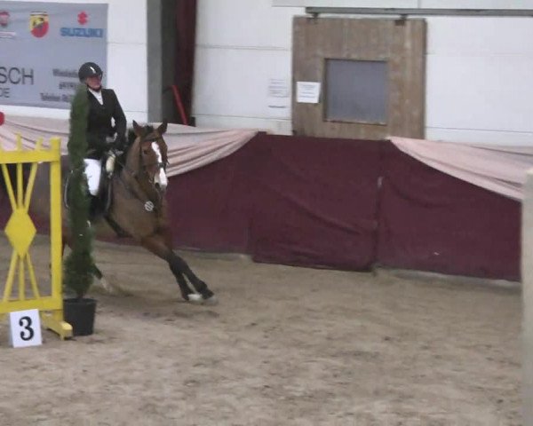 Reitturnier Eppelheim 2016