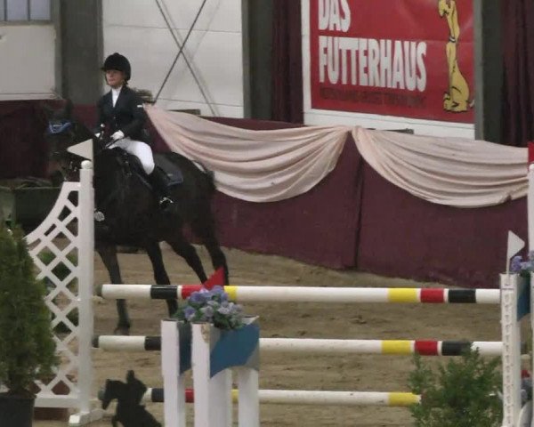 Reitturnier Eppelheim 2016