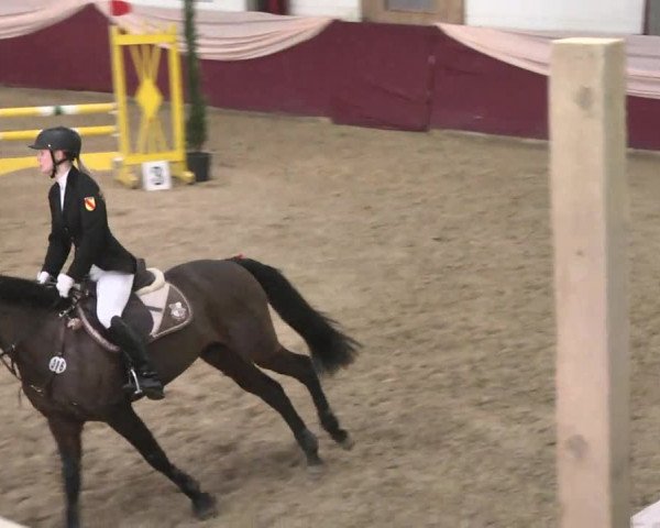 Reitturnier Eppelheim 2016