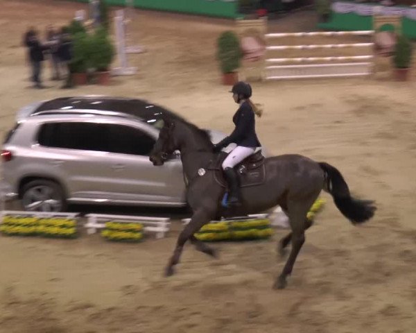 CSN Gahlen 2016