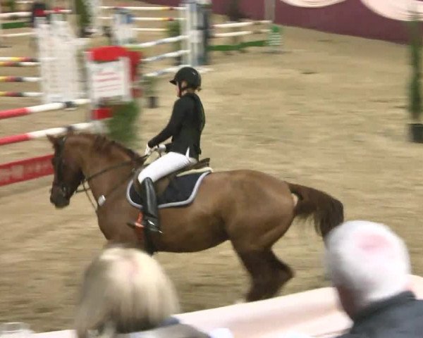 Reitturnier Eppelheim 2016