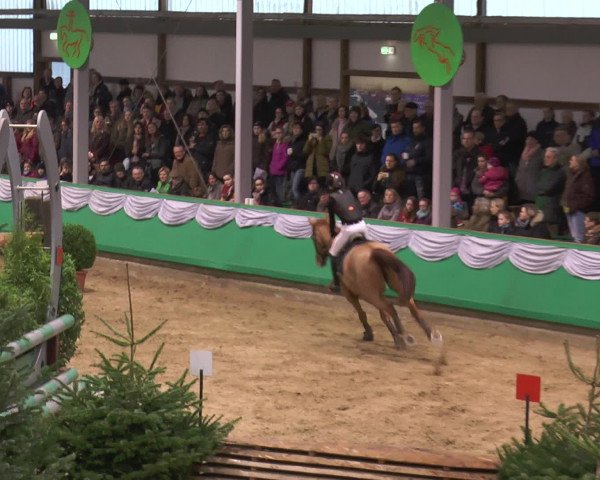 CSN Gahlen 2016