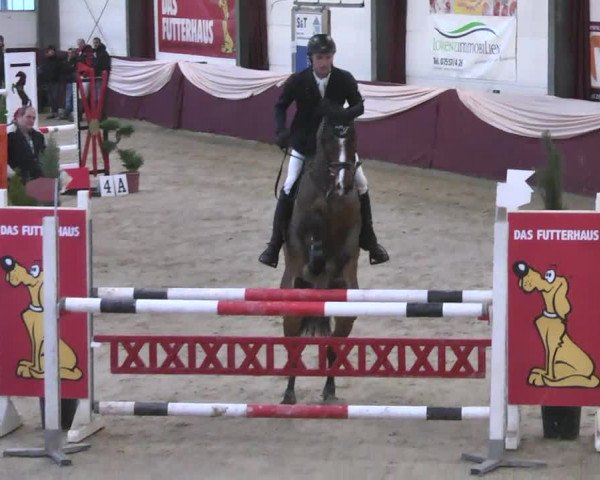 Reitturnier Eppelheim 2016