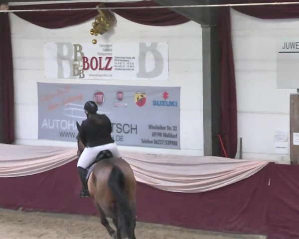 Reitturnier Eppelheim 2016